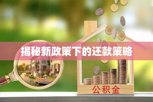 动态揭秘新政策下的还款策略