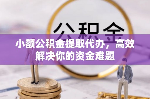 动态小额公积金提取代办，高效解决你的资金难题