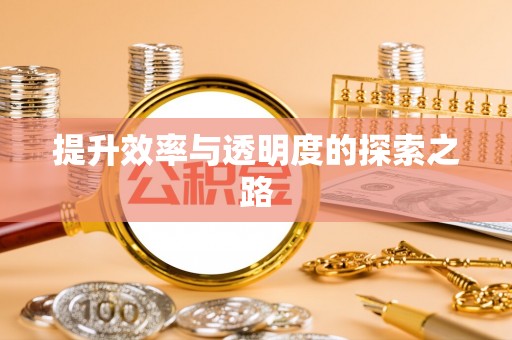 动态提升效率与透明度的探索之路