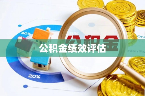 动态公积金绩效评估