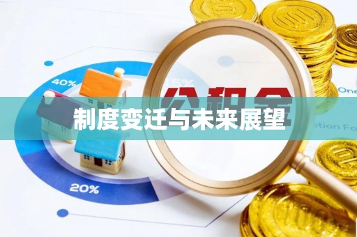 动态制度变迁与未来展望