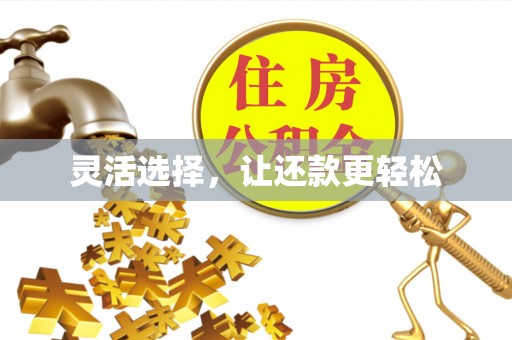 动态灵活选择，让还款更轻松