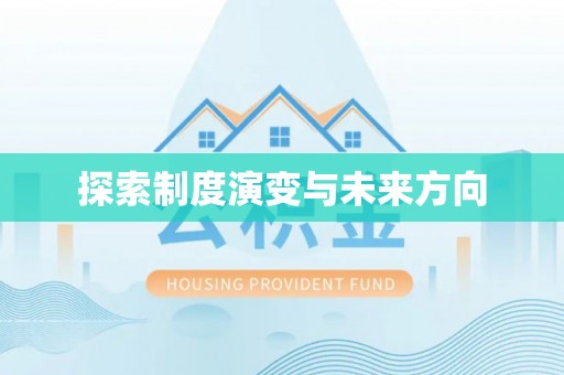 动态探索制度演变与未来方向