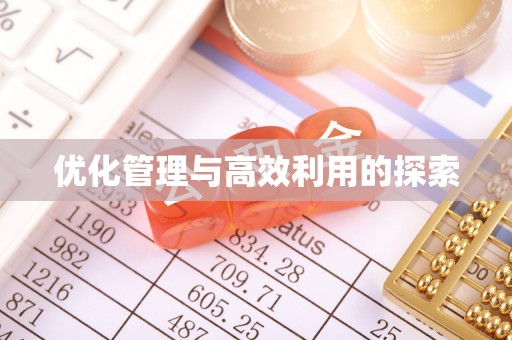 动态优化管理与高效利用的探索