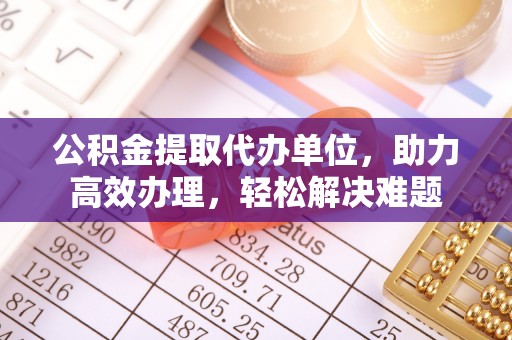 动态公积金提取代办单位，助力高效办理，轻松解决难题