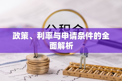 动态政策、利率与申请条件的全面解析