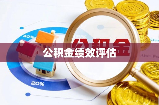 动态公积金绩效评估