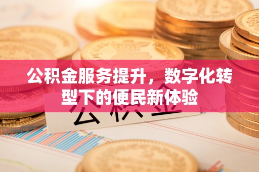 动态公积金服务提升，数字化转型下的便民新体验