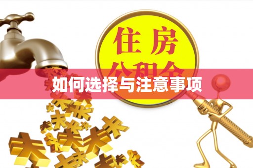 动态如何选择与注意事项