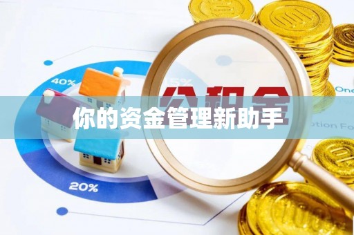 动态你的资金管理新助手