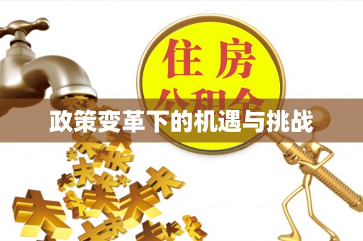 动态政策变革下的机遇与挑战
