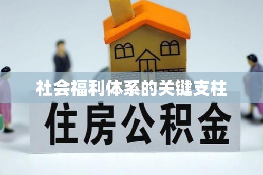 动态社会福利体系的关键支柱