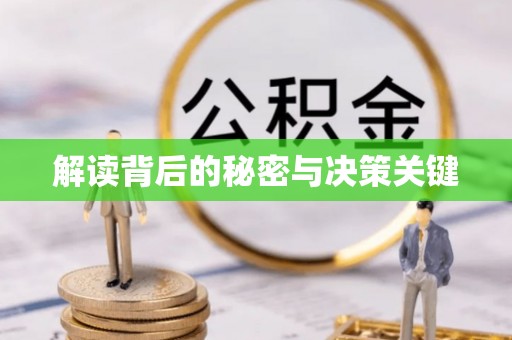 动态解读背后的秘密与决策关键