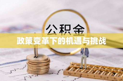 动态政策变革下的机遇与挑战