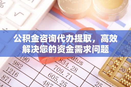 动态公积金咨询代办提取，高效解决您的资金需求问题