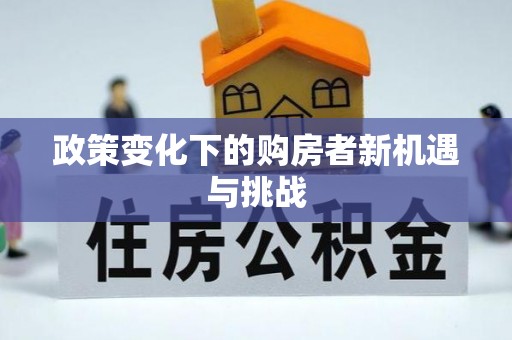 动态政策变化下的购房者新机遇与挑战