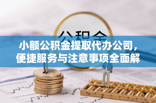 动态小额公积金提取代办公司，便捷服务与注意事项全面解析