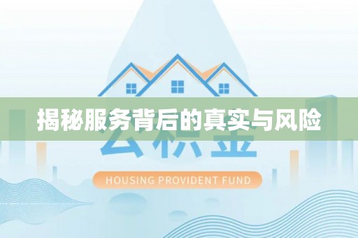 动态揭秘服务背后的真实与风险