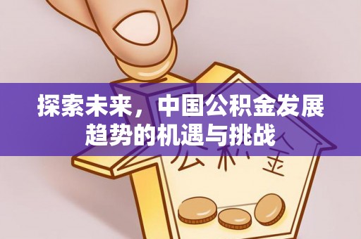 动态探索未来，中国公积金发展趋势的机遇与挑战